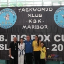 Iz Maribora - tri natjecateljice i tri medalje