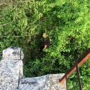Uređenje švičkog slapa se nastavlja