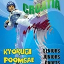 Iz Karlovca od bronce do zlata