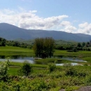 Sutra svi u Švicu, hodajući, "na klječe", pužući ... to se ne smije propustiti