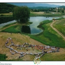 473. Strikomanova milenijska fotografija u Švici