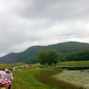 473. Strikomanova milenijska fotografija u Švici