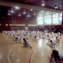 Završena polusezona Taekwondo kluba Gacka