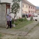 Priprava za Ilinju - s voljon i na vrime