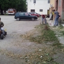 Priprava za Ilinju - s voljon i na vrime