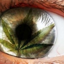 Nešto malo marihuanice, hašišića i nešto malo kojekakvih tabletičica