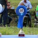 Održana smotra konja u Krivomu Putu
