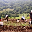 Poticajne mjere za brdsko-planinska područja
