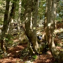 Međunarodna ekspedicija u Sjevernom Velebitu