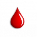 Dobrovoljno darivanje krvi - 13. listopada