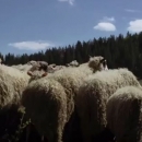 Natura 2000 – čuvamo što je priroda stvarala stoljećima - NP Sjeverni Velebit