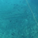 Akcija čišćenja podmorja senjske luke