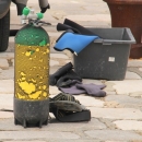 Prodaja sadnica i čišćenje senjske luke 