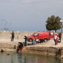 Prodaja sadnica i čišćenje senjske luke 