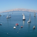 23. "Senjska regata 2015"