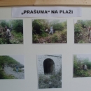 Otvorena plaža za pse