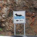 Otvorena plaža za pse