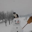 Čudn(ovat)i čovićki snjegovići!