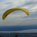 Otočki palaglajderi ne miruju 