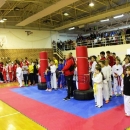  Izvrstan početak - prvi taekwondo turnir  "BRINJE OPEN" u Brinju 