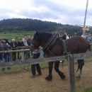 Održano natjecanje u šlajsu u Brinju 