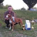 U Lipice dva pehara s izložbe pasa 