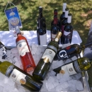 Wine Fashion Show u Novalji pun vinski pogodak