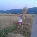KUD „Lipa“ i žetva uoči Ilinje