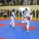  Izvrstan početak - prvi taekwondo turnir  "BRINJE OPEN" u Brinju 
