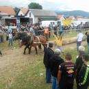 "Brinjski sokol" organizirao natjecanje u šlajsu trupaca