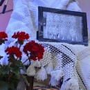 Dalmatinska pisma i Novaljska koltra ruku pod ruku