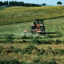 Edukacija za poljoprivrednike korisnike mjera ruralnog razvoja