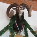 Još jedan uspjeh Lovačkog saveza LSŽ-e.