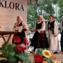 Brinjaci sve bolji i bolji!