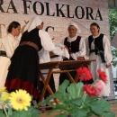 Brinjaci sve bolji i bolji!