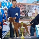 U Lipice dva pehara s izložbe pasa 