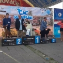 U Lipice dva pehara s izložbe pasa 