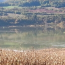 Švičani sami brane selo od poplave 