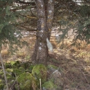 U Divoselu pronađena kumulativna mina za ručni bacač 