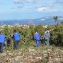 Novalja Eko 2015 - čišćenje podmorja i Grada
