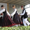 Otvoreni Dani hrvatskog šumarstva
