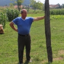 Hrastov stup iz otočke sojenice (3)