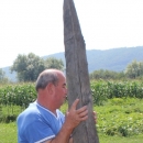 Hrastov stup iz otočke sojenice (3)