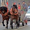 Konjskim zapregama ulicama grada