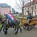 Konjskim zapregama ulicama grada
