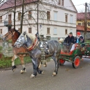 Konjskim zapregama ulicama grada