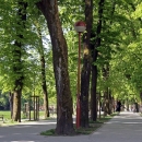 KUD „Lipa“ Sinac na proljetnim promenadama u Karlovcu