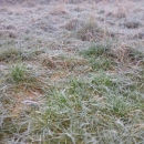 Jutros Otočac na -3°C, veliki mraz !
