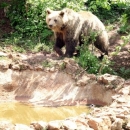 U Kuterevu očekuju predsjednicu države Grabar Kitarović i premjera Milanovića 