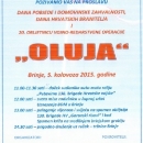 Program obilježavanja Dana pobjede i domovinske zahvalnosti u Brinju 